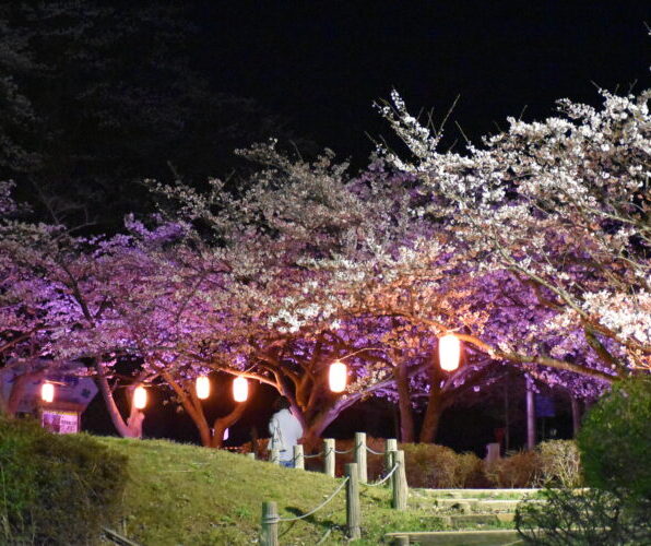 宮野山桜まつり 2026