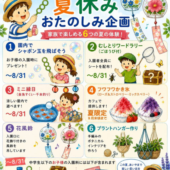 夏休みおたのしみ企画