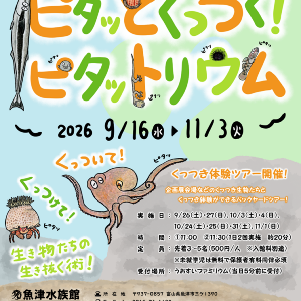 秋の企画展「ピタッとくっつく！ピタットリウム」